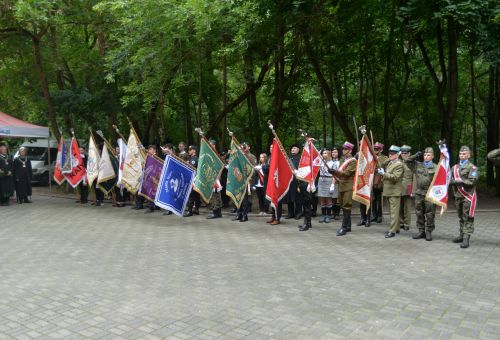 Nigdy więcej wojny