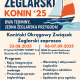 Link do artykułu - Piknik żeglarski - zapowiedź