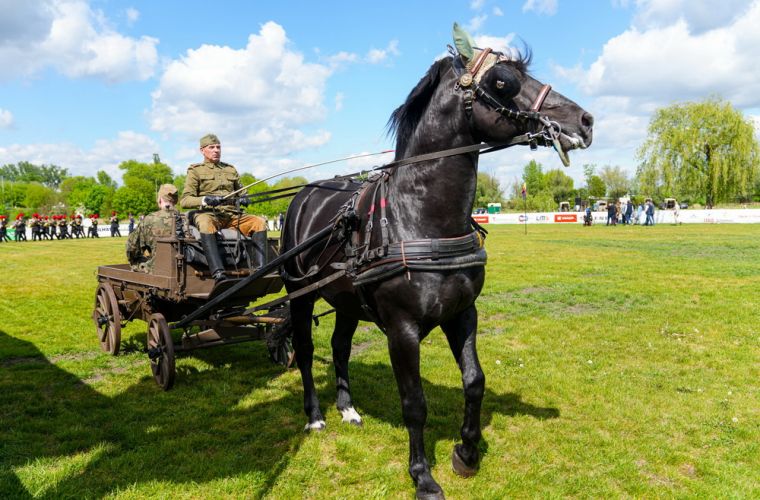 Piknik patriotyczny na konińskich błoniach