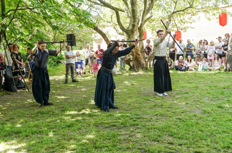 Link do artykułu - Hanami bez sakury