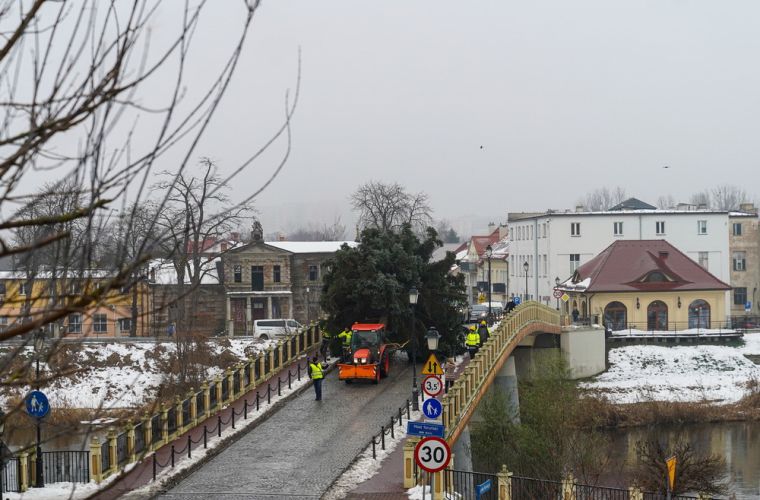 W Koninie czuć świąteczny klimat! Na zdjęciu widać traktor ciągnący przyczepę, na której jest wielka choinka.