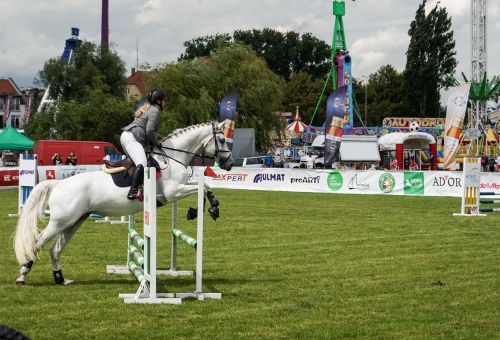 Konin Cup sobota