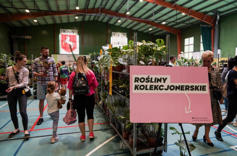 Link do artykułu - Udany festiwal roślin
