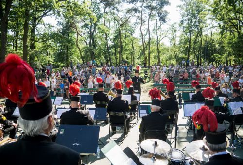 Koncert w Parku Chopina
