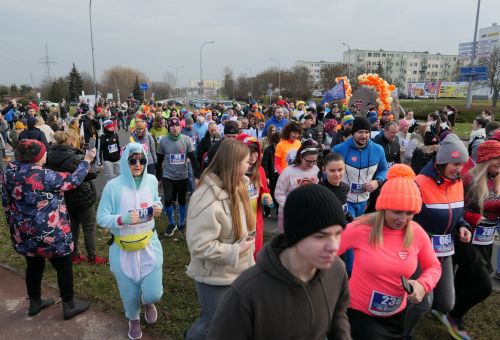Bieg policz się z cukrzycą oraz 19. Turniej Siatkówki #WOŚP o Puchar Prezydenta Miasta Konina