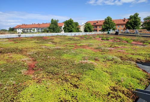SZWECJA MALMO