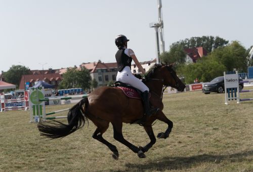 Zawody jeździeckie - dzień 2