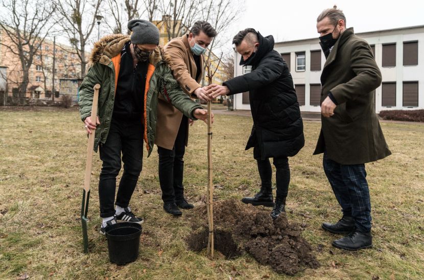 Link do artykułu - Przed CKiS rośnie klon „Andrzej”
