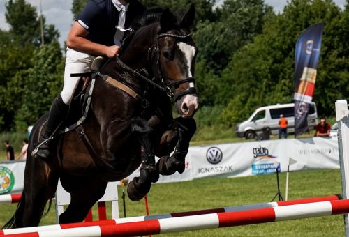 Konin Cup niedziela