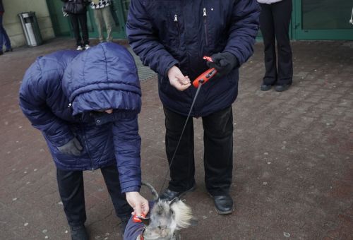 Happening na rondzie WOŚP