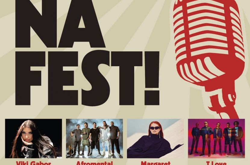Link do artykułu - T.LOVE, Afromental, Margaret i Viki Gabor 14 czerwca na Pikniku na FEST! w Koninie