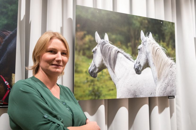 Link do artykułu - Konie według konińskich fotografów