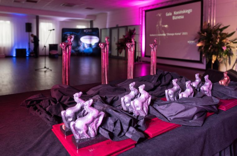 Link do artykułu - Znamy nominowanych do statuetki "Złotego Konia"