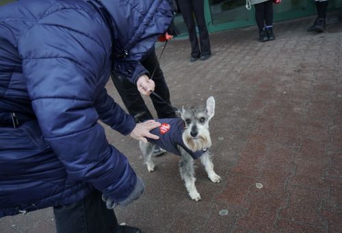 Happening na rondzie WOŚP