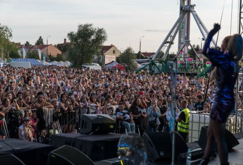 Dni Konina dzień 1