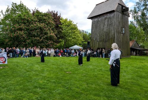 Galeria zdjęć do artykułu - Hana Matsuri czyli Japonia w muzeum