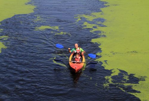 Kajaki mają coraz więcej zwolenników
