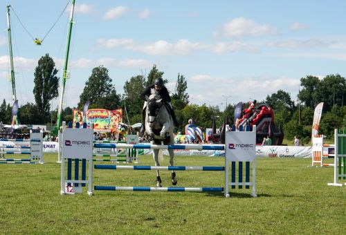 Konin Cup niedziela
