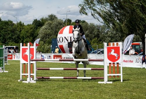 Konin Cup niedziela