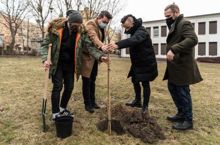 Link do artykułu - Przed CKiS rośnie klon „Andrzej”