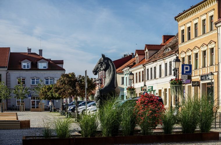 Konin szósty w rankingu zamożności. Na zdjęciu jest Plac Wolności z widokiem najpierw na doniczki, za nimi rzeźba konia, za nią COP i Dom Zemełki.