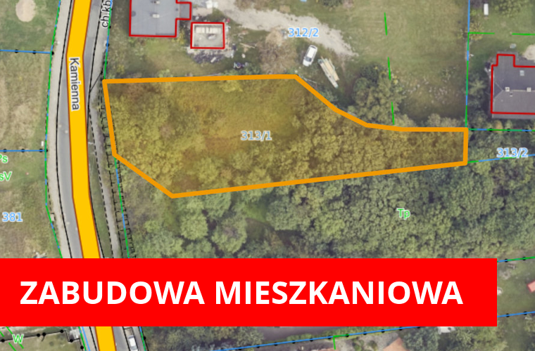 Obrazek poglądowy - działka 313/1 obręb Wilków