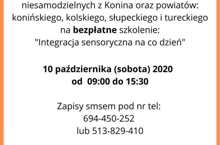 Link do artykułu - Szkolenie - Integracja sensoryczna na co dzień