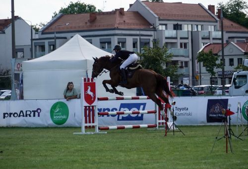 Konin Cup niedziela