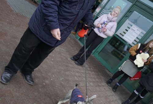 Happening na rondzie WOŚP