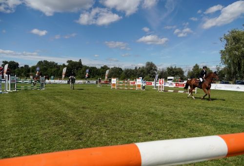 Konin Cup niedziela