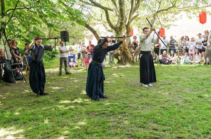 Link do artykułu - Hanami bez sakury