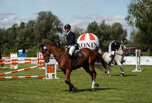 Konin Cup niedziela