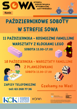 Warsztaty w Strefie SOWA