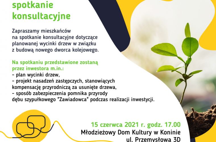 Link do artykułu - Spotkanie konsultacyjne dotyczące planowanej  wycinki drzew w związku z budową nowego dworca kolejowego