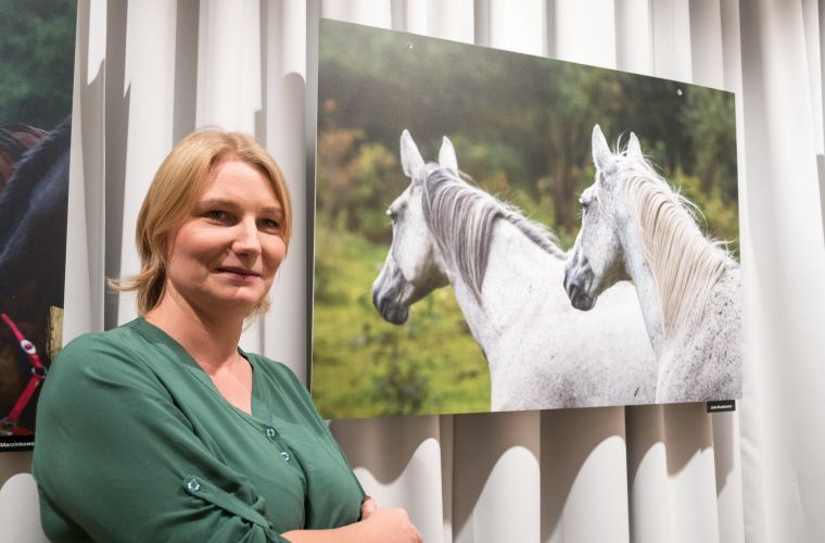 Link do artykułu - Konie według konińskich fotografów