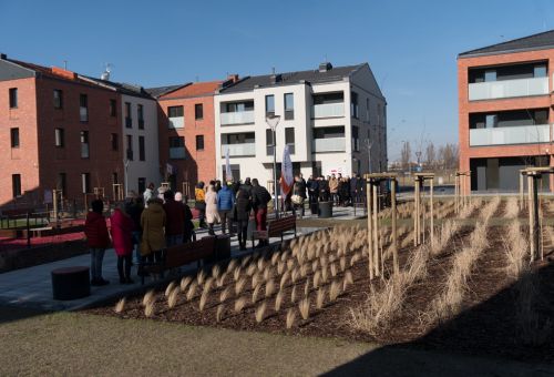 Tak zmienia się Starówka (zdj. M. Jurgielewicz)