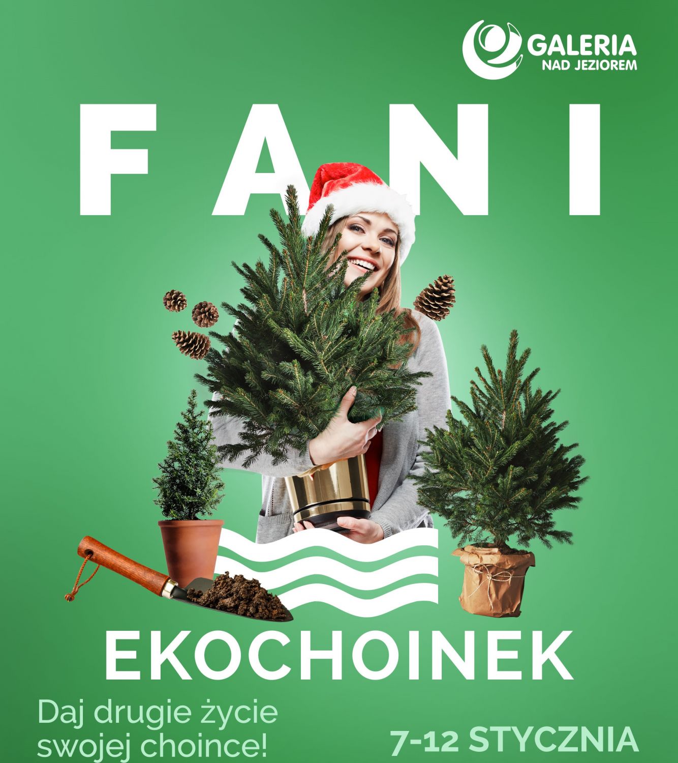 Link do artykułu - Nie wyrzucaj choinki - bądź eko!