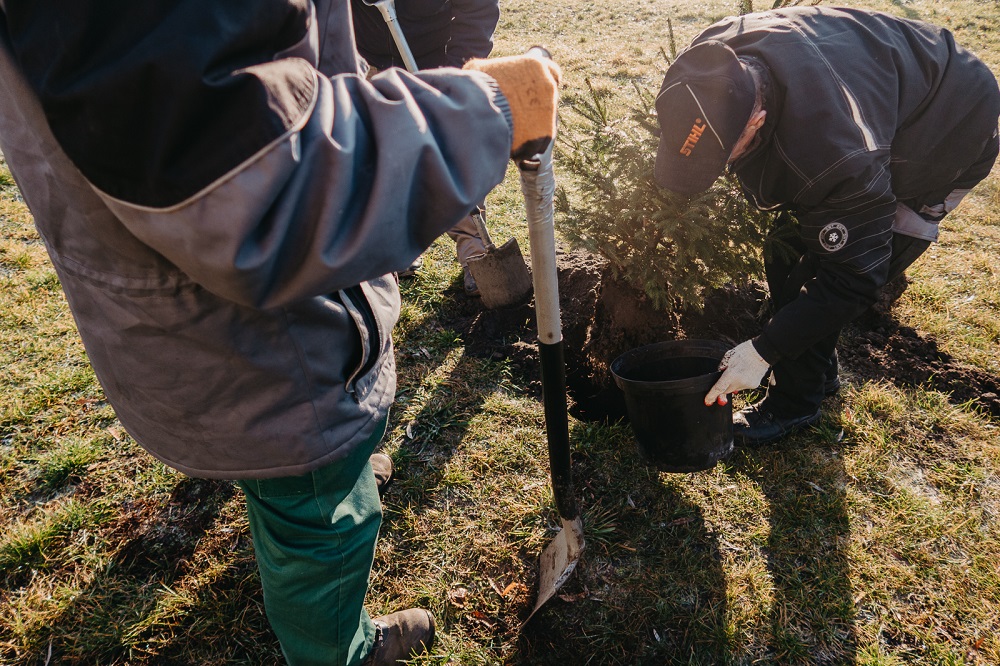 Link do artykułu - Drugie życie choinek!