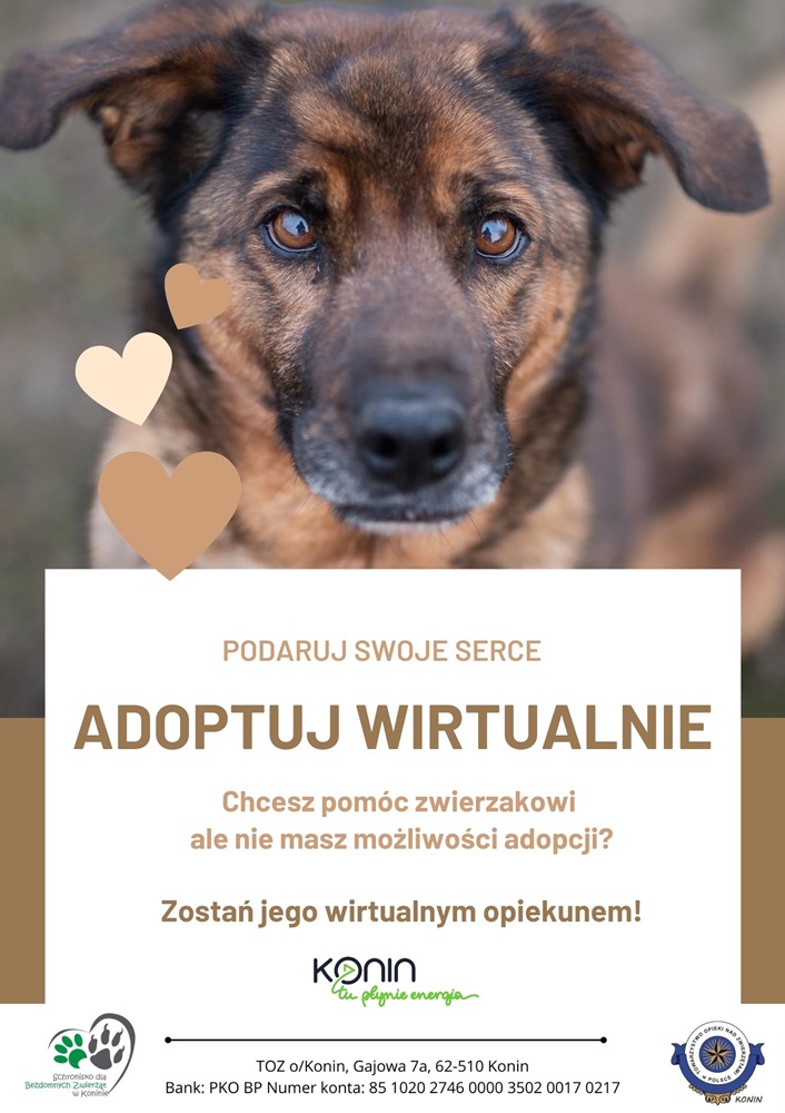 Link do artykułu - Wirtualna adopcja zwierząt z konińskiego schroniska