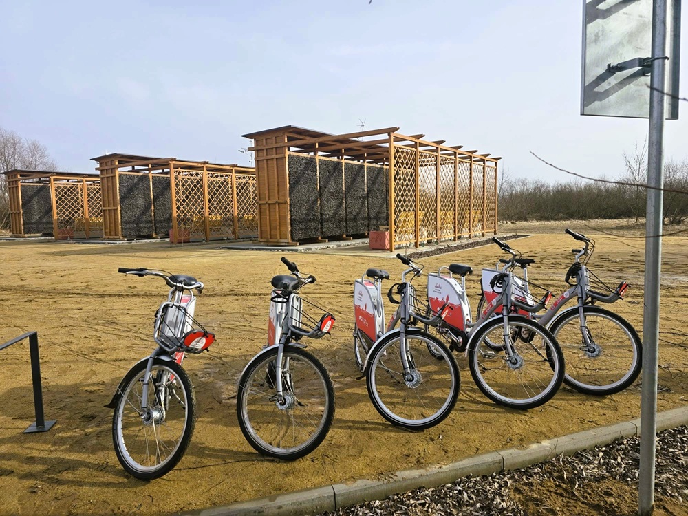 W trasę na miejskich rowerach!