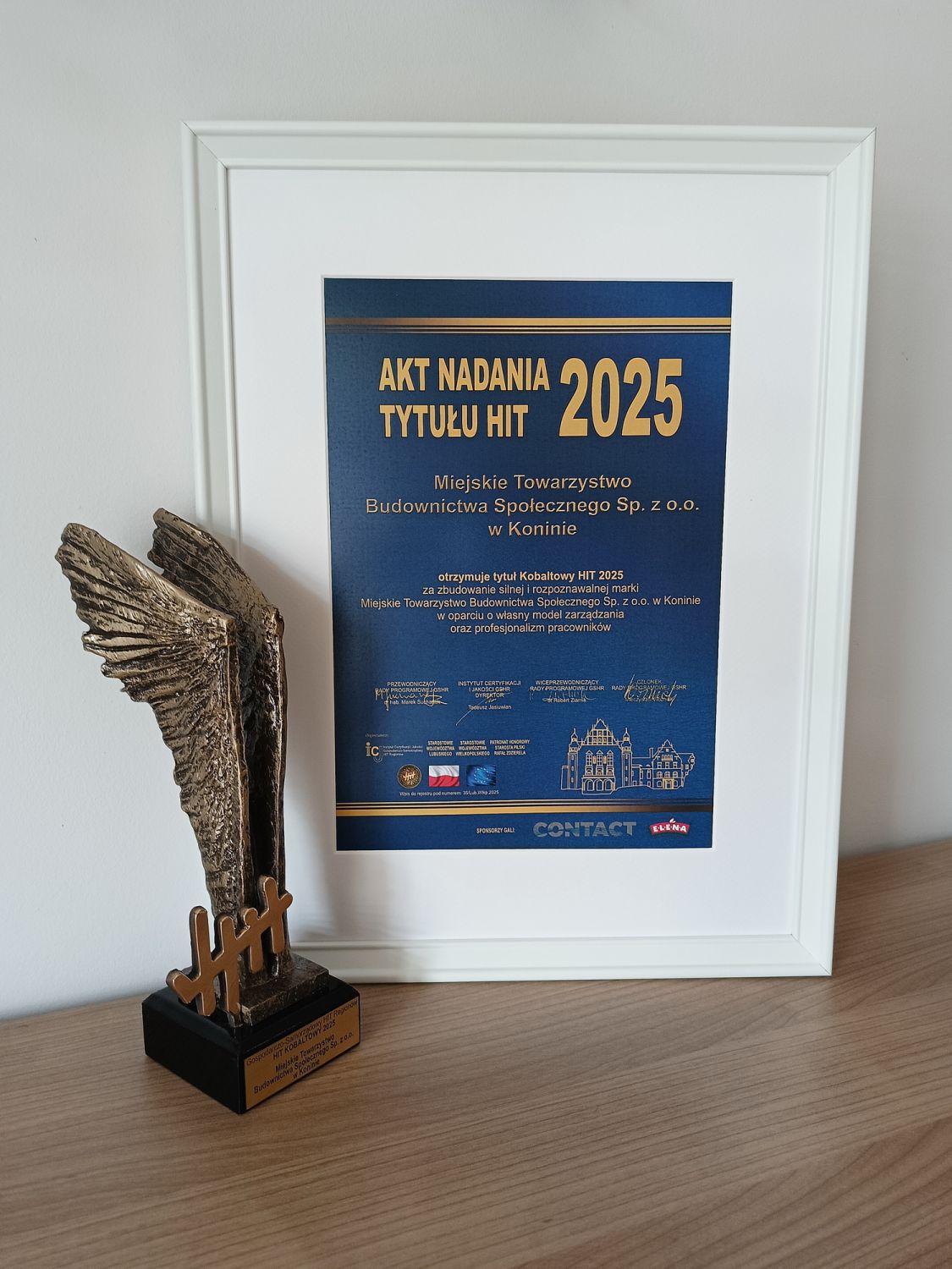 MTBS z kobaltowym HIT-em. Na zdjęciu widać statuetkę - skrzydła z napisem HIT oraz dyplom.