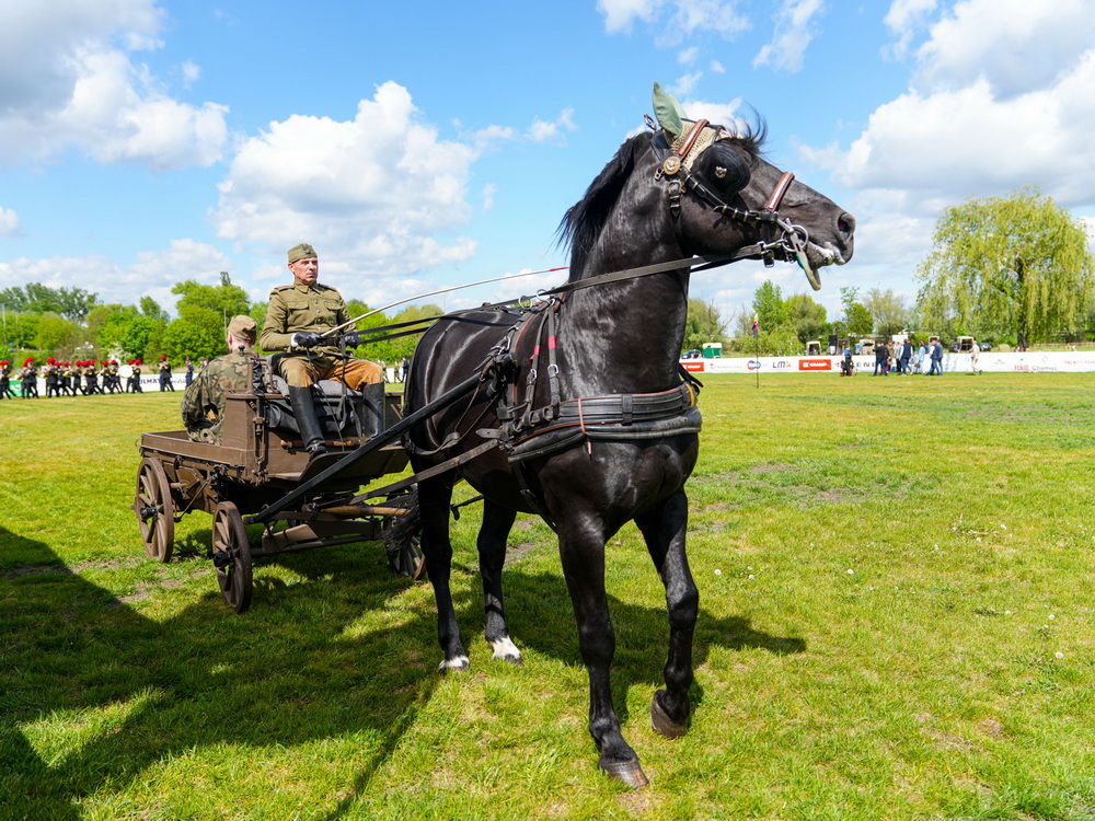 Piknik patriotyczny na konińskich błoniach