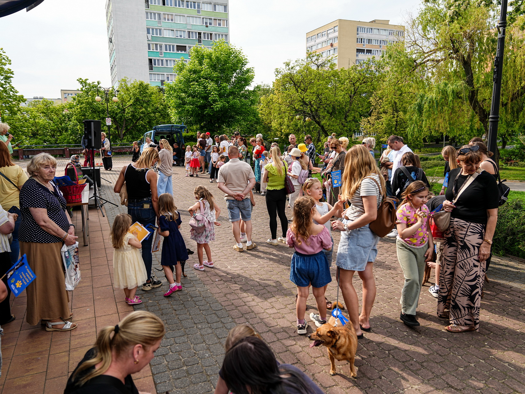 Na zdjęciu widać uczestników 12 parady kundelków i nie tylko