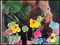 images/09.05.2025/640_9.jpg